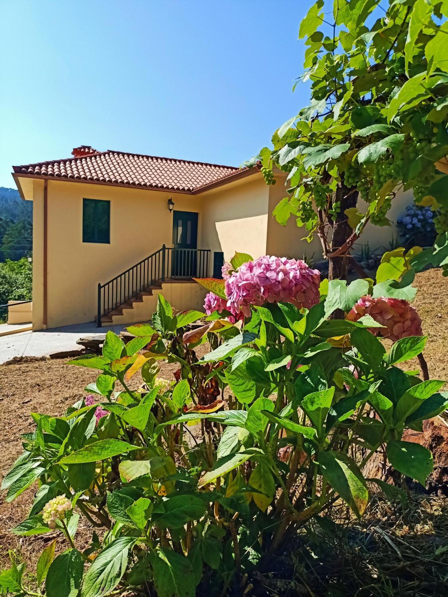 A Casa Do Porto Cerca De Cedeira Y De La Playa De Pantin Villa Valdoviño Dış mekan fotoğraf